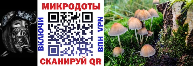 Галлюциногенные грибы мицелий  закладка  Сенгилей 